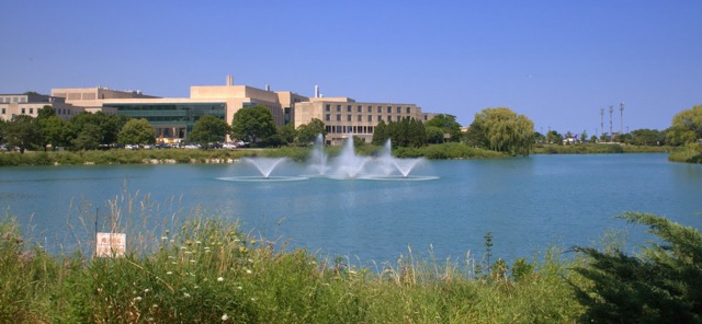 Northwestern 1 Cropped