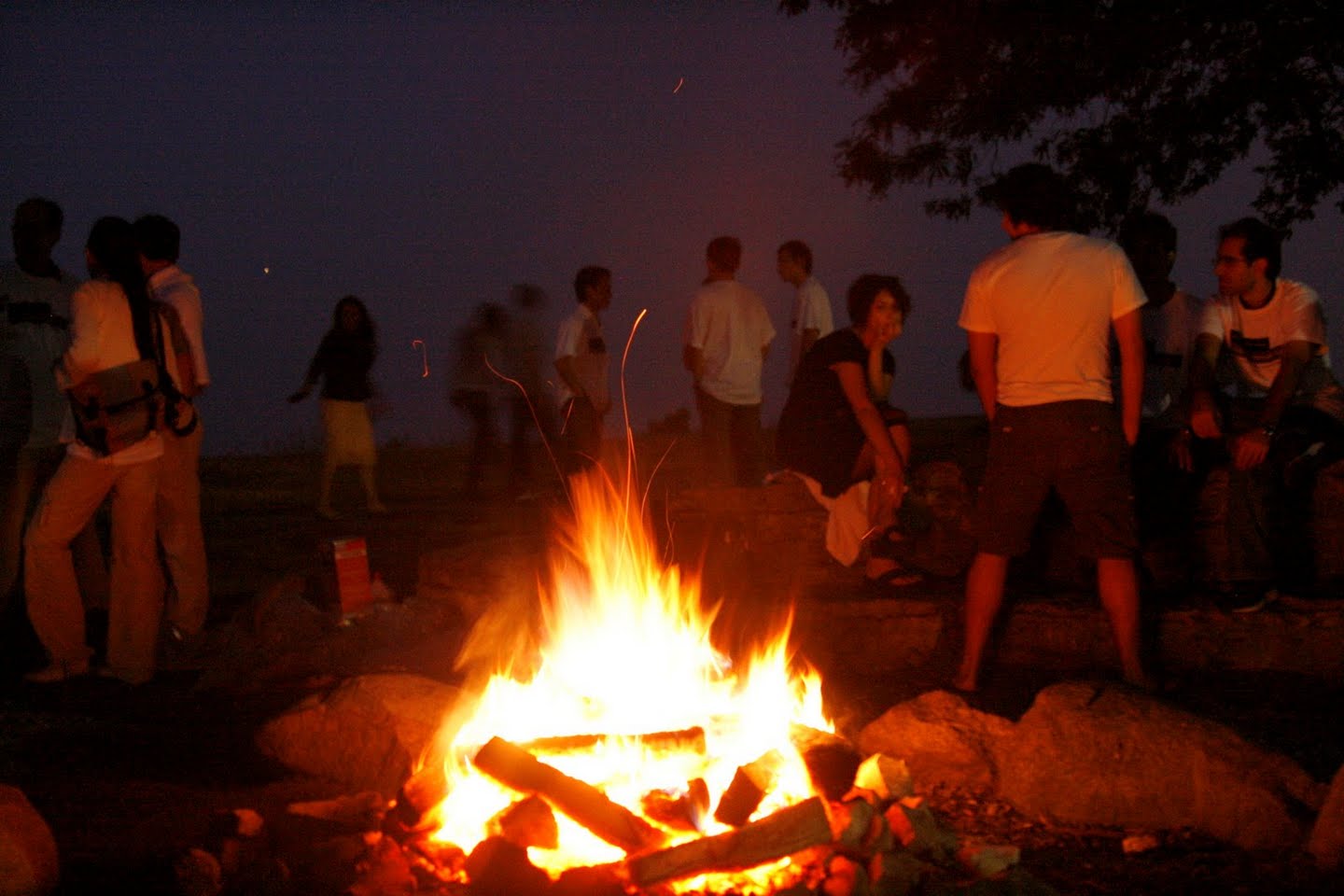 Picnic 5